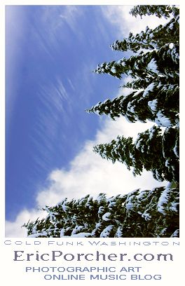 Cold Funk Washington ©Eric Porcher