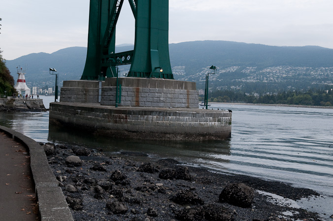 Lions Gate Bridge