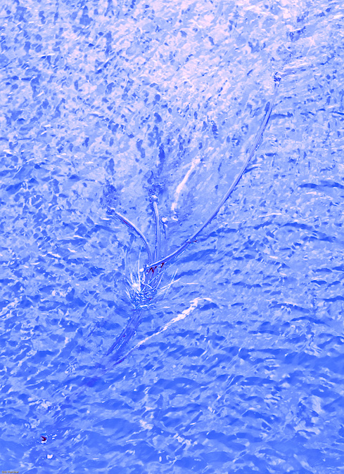 Foot of Johnson